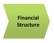 Financial Structure