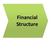 Financial Structure